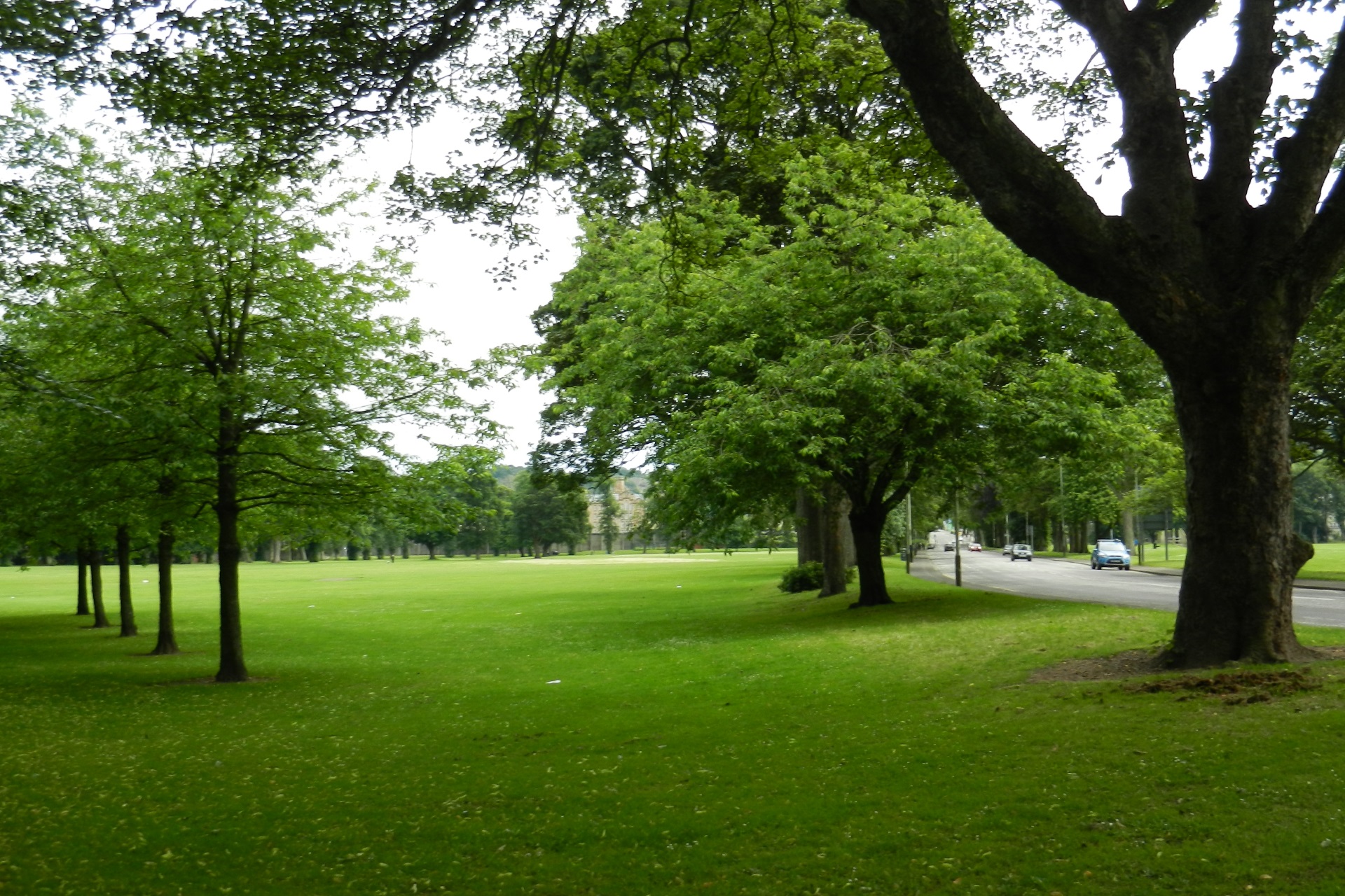 South Inch