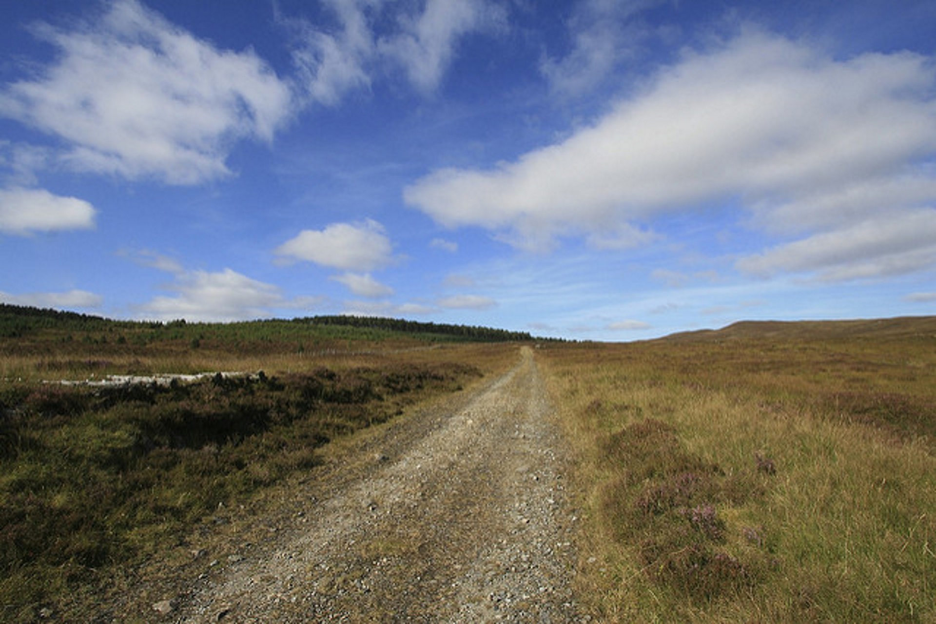 Glen Banvie Trail